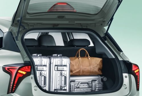 新勢力不止“蔚小理”，純電代步小車市場還有這些實力選擇